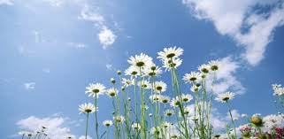 images (1)